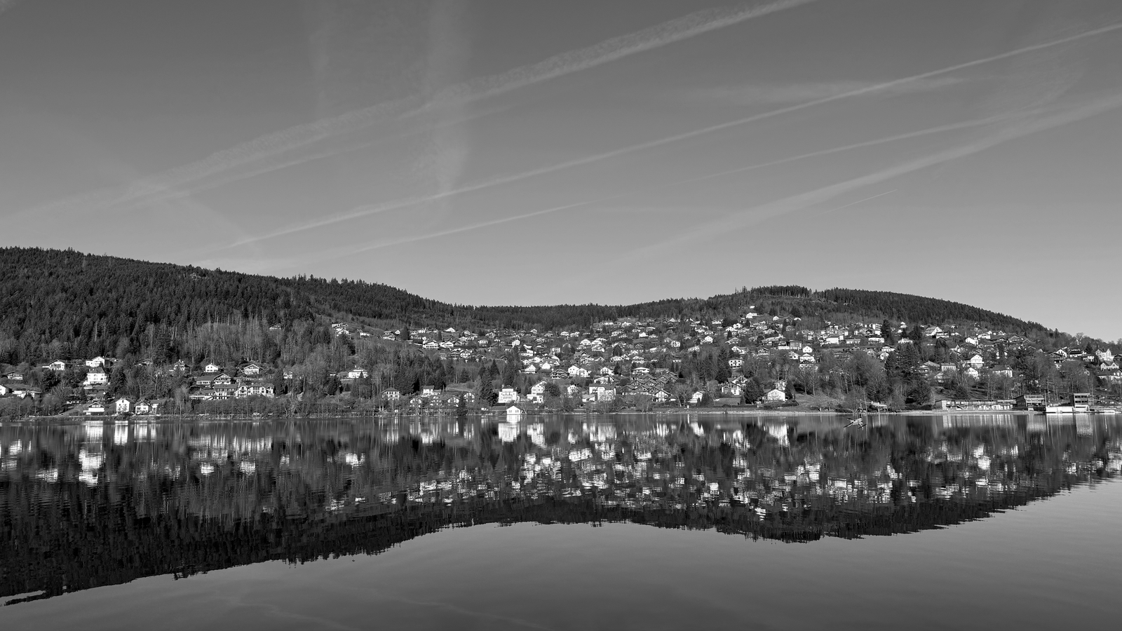 Winter 2025/26 — 004